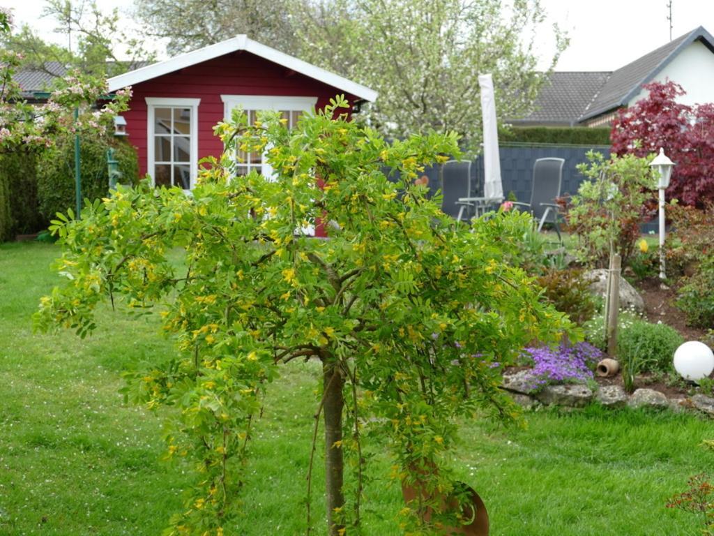 Ferienwohnung Kirsch Sankt Wendel Exteriér fotografie